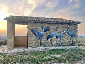 Mural y siluetas ilustradas para III Jornadas Nacionales de Grulla Cómún en Montmesa